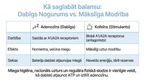 Presentations 'Adenozīns kā smadzeņu enerģijas un miera regulators', 10.