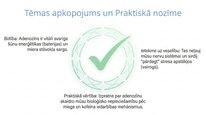 Presentations 'Adenozīns kā smadzeņu enerģijas un miera regulators', 12.