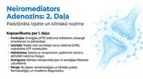 Presentations 'Adenozīns kā smadzeņu enerģijas un miera regulators', 13.