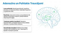 Presentations 'Adenozīns kā smadzeņu enerģijas un miera regulators', 14.