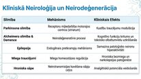 Presentations 'Adenozīns kā smadzeņu enerģijas un miera regulators', 15.