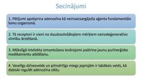 Presentations 'Adenozīns kā smadzeņu enerģijas un miera regulators', 24.