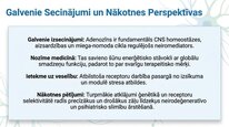Presentations 'Adenozīns kā smadzeņu enerģijas un miera regulators', 25.
