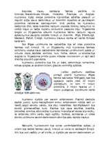 Summaries, Notes 'Kuzņecova porcelāna un fajansa fabrika', 2.