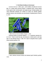 Research Papers 'Clostridium botulinum baktērija, botulisms', 4.