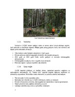 Research Papers 'Dabas katastrofa - ekstrēmas vētras, kas skar Kurzemi un Vidzemi.', 7.