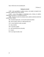 Research Papers 'Dabas katastrofa - ekstrēmas vētras, kas skar Kurzemi un Vidzemi.', 24.