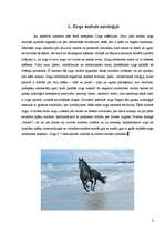 Research Papers 'Zirga simboliskā nozīme', 4.