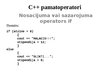 Presentations 'C++ pamatoperatori', 8.