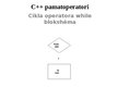 Presentations 'C++ pamatoperatori', 17.
