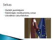 Presentations 'Eiropas Savienība', 12.