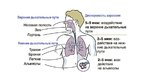 Presentations 'Pacienta apmācīšana Aerosolveida inhalatora lietošanai', 7.