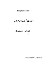 Research Papers '"Elles ķēķis" (Gunars Saliņš)', 1.