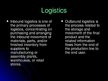 Presentations 'Logistics Project', 6.