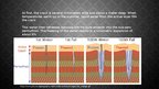 Presentations 'Processes and Landforms Associated with the Thawing of Ground Ice', 3.