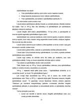 Term Papers 'Latvijas apdrošināšanas pakalpojumu tirgus situācijas aplūkošana', 26.