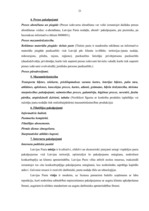 Term Papers 'VAS "Latvijas Pasts" pakalpojumu konkurence un konkurētspējas kāpināšanas iespēj', 17.