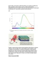 Samples 'Eksāmena atbildes Spektroskopijas metodes medicīnā', 20.