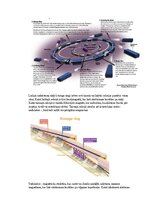 Samples 'Eksāmena atbildes Spektroskopijas metodes medicīnā', 28.