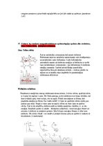 Samples 'Eksāmena atbildes Spektroskopijas metodes medicīnā', 64.