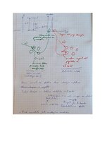 Samples 'Eksāmena atbildes Spektroskopijas metodes medicīnā', 104.