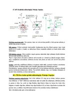 Samples 'Eksāmena atbildes Spektroskopijas metodes medicīnā', 106.