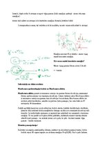 Samples 'Eksāmena atbildes Spektroskopijas metodes medicīnā', 125.