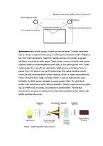 Samples 'Spektroskopijas metodes medicīnā', 14.