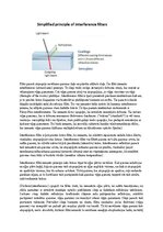 Samples 'Spektroskopijas metodes medicīnā', 42.