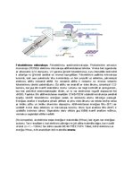 Samples 'Spektroskopijas metodes medicīnā', 59.
