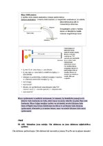 Samples 'Spektroskopijas metodes medicīnā', 91.