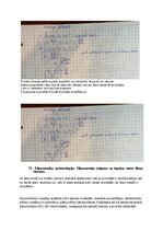 Samples 'Spektroskopijas metodes medicīnā', 118.