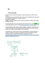 Samples 'Spektroskopijas metodes medicīnā', 128.