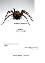 Research Papers 'Zirnekļi', 1.