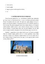 Research Papers 'Tūrisma ietekme Parīzes Dievmātes katedrāli', 4.