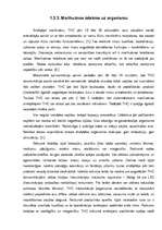 Research Papers 'Marihuāna', 10.