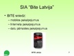 Presentations 'Reklāmas nozīme un īpatnības uzņēmumā SIA “Bite Latvija”', 7.