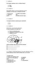Summaries, Notes 'Kontroldarbs bioloģijā par nervu sistēmu', 2.