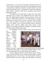 Term Papers 'Latviešu studentu (praktikantu) integrācija Grieķijas viesmīlības uzņēmumos', 33.