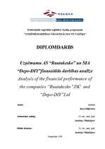Term Papers 'Uzņēmumu AS "Rautakesko" un SIA "Depo-DIY" finansiālās darbības analīze', 1.