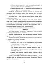 Term Papers 'Uzņēmumu AS "Rautakesko" un SIA "Depo-DIY" finansiālās darbības analīze', 12.