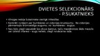 Presentations 'Dvietes selekcionārs - P.Sukatnieks', 5.