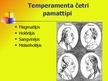 Presentations 'Temperaments', 4.