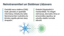 Presentations 'Oreksīni', 2.