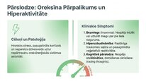 Presentations 'Oreksīni', 9.