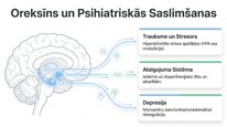 Presentations 'Oreksīni', 14.