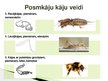 Presentations 'Posmkāji', 7.