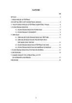 Research Papers 'Plānošanas reģionu statusa un funkciju problēmas', 2.