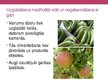 Presentations 'Vielas augļu un dārzeņu uzglabāšanai', 4.