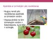 Presentations 'Vielas augļu un dārzeņu uzglabāšanai', 5.